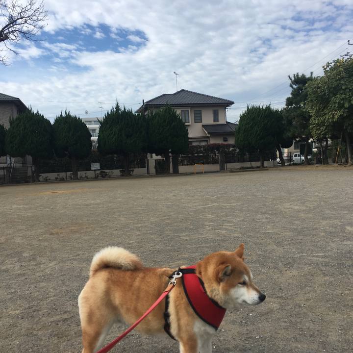 F007c364 12b3 443e 942d e4236e1c740c 1604280803547