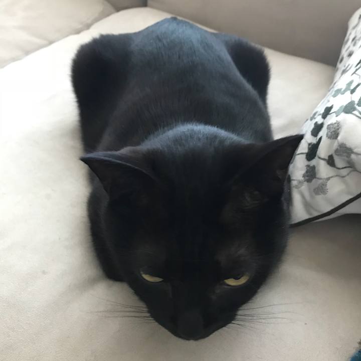 F007c767 864c 4c8a a558 957bd850028a 1522103795960