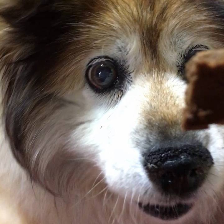 F007cd4b 0f9b 417d b64c 0e7b2c580f03 1617848529513