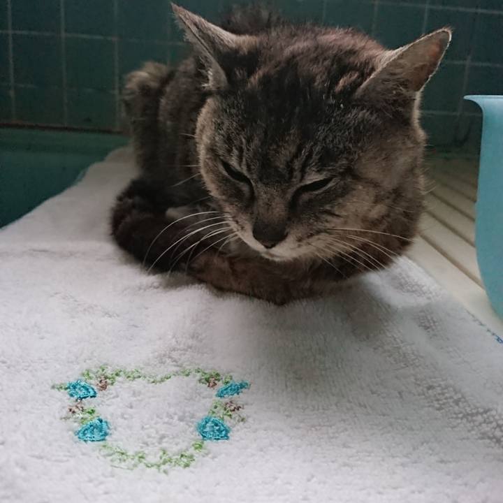 F0080c1e 2a0b 4246 9cd0 1ee170907598 1594028245325