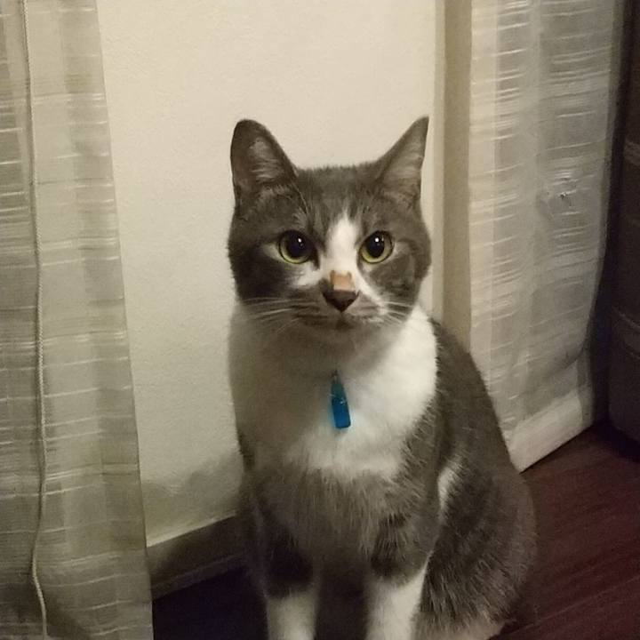 F0082059 4159 47c3 a11d 4a2d8b5dbf4b 1601816671873