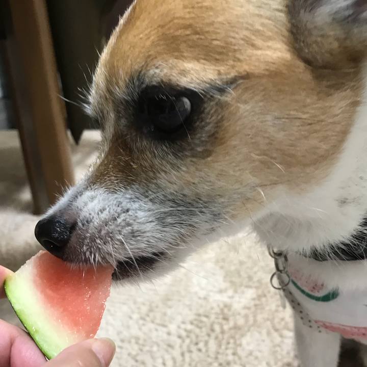 F0083424 1c1e 490e 8213 ae635ce2d1a7 1532057180361