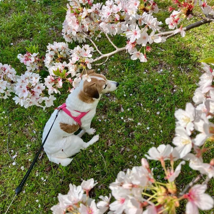 F00896cc 48fb 4992 8995 6aab4cb792f5 1713070279381