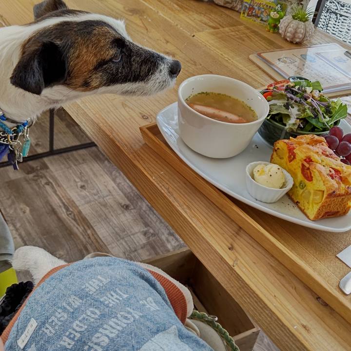 F008aebc 5172 4998 8e30 cdbe04dca471 1659158291350