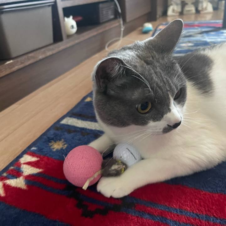 F008c411 437f 4363 93a5 f57458cdca9f 1664174607767