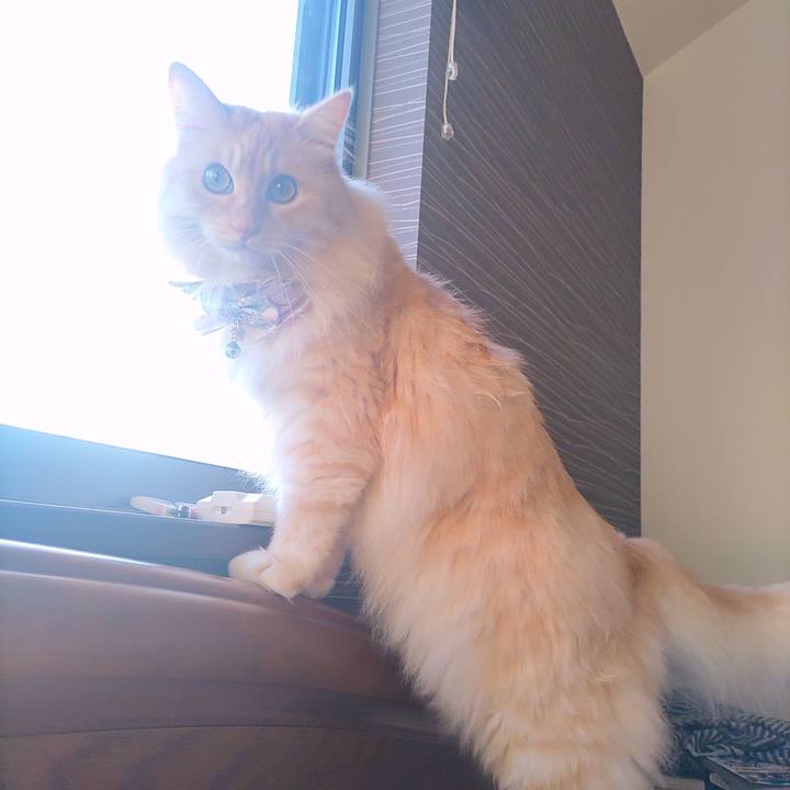 F0093bb0 9caf 445c a81a 3897b3f73422 1721601947627