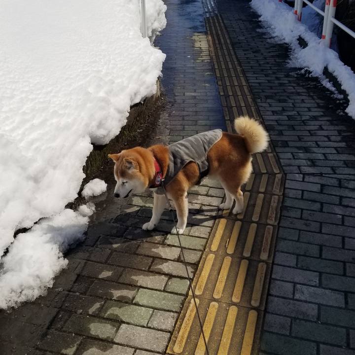 F0097fb3 18ea 479f 9ae9 911869f195ac 1740453411967