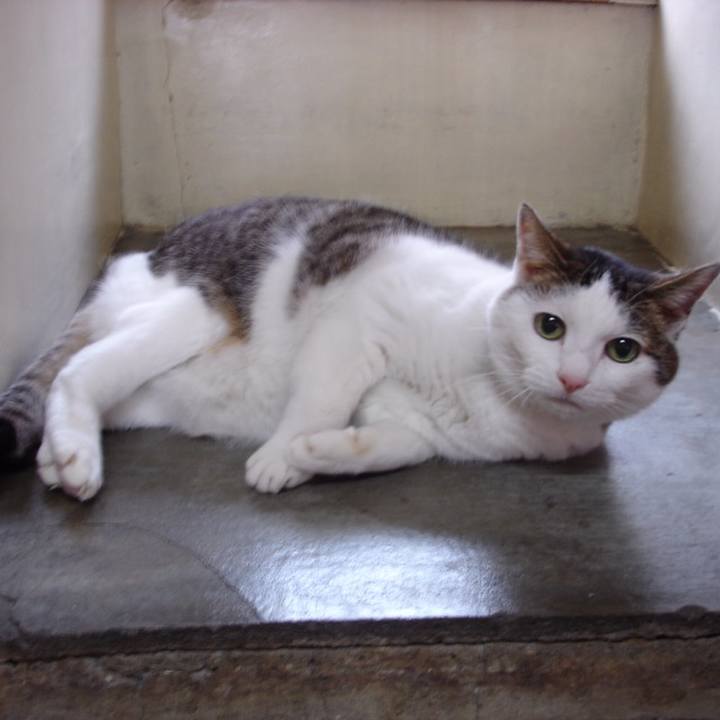 F00984bd f29f 4950 bca0 1cd602f15358 1558399086463