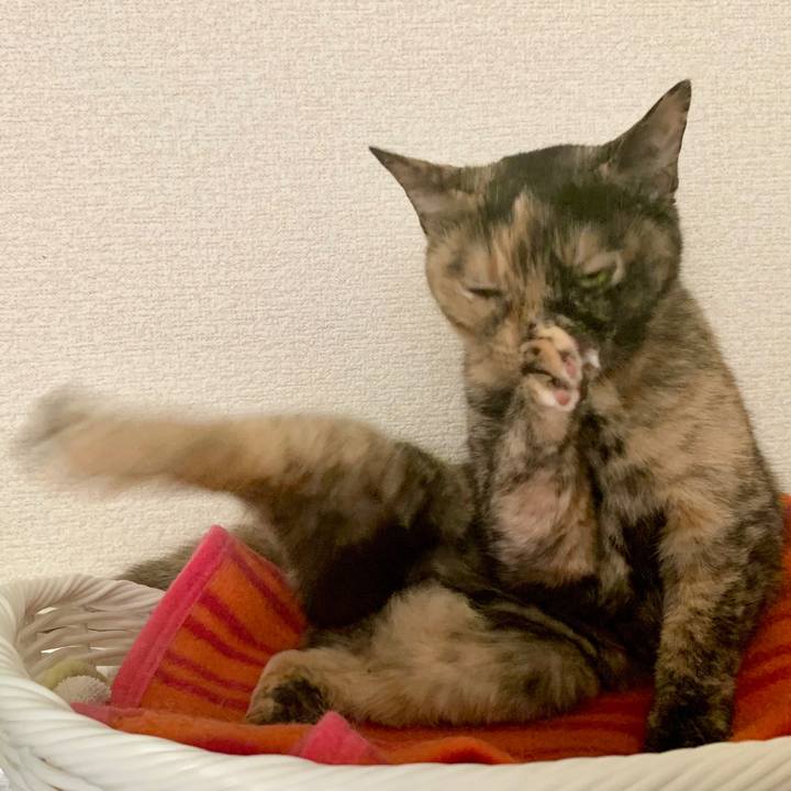 F0098872 428f 4c3a aacc 00a33945e5ca 1598743045626