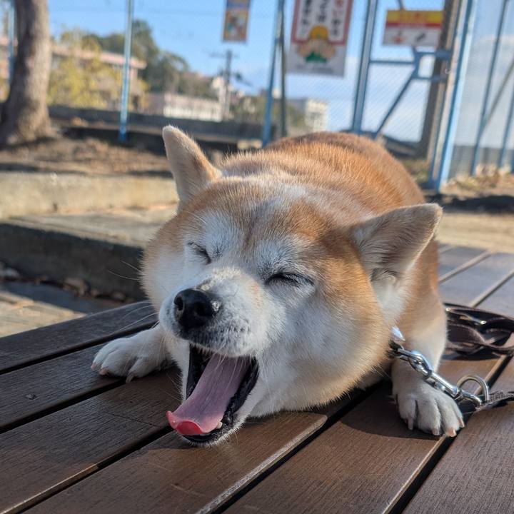 F009a09a ecb6 4830 8126 07c8772456b0 1767832541181