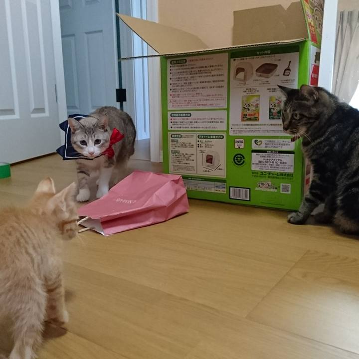 F009a216 808e 4c48 a0d2 f2819843244e 1570509517229