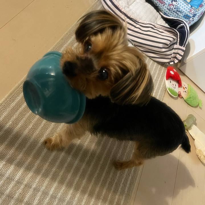 F009c293 5153 4282 a54a 431b26dfccd2 1701249429285