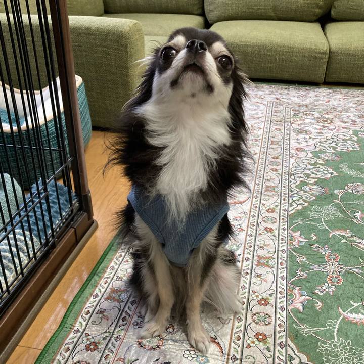 F009e8e1 2ec1 465c 9434 89b32a17ec39 1665240449981