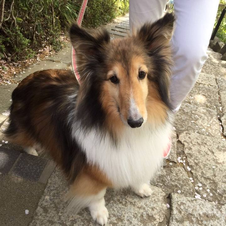 F009ed3e 880a 47ed 8e40 60e62681ca90 1524064686662