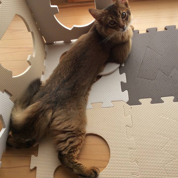 F009f2d9 520e 4b74 88d1 845a99198fd3 1578112968522