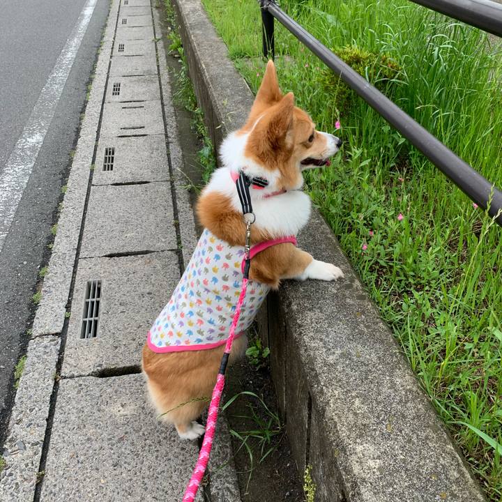 F009fac9 5e9d 46f8 916e da74a5f7cd9c 1590015919558