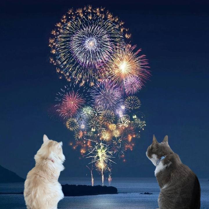 F009ff71 2b39 406b a973 54e870ceed5c 1756637688618