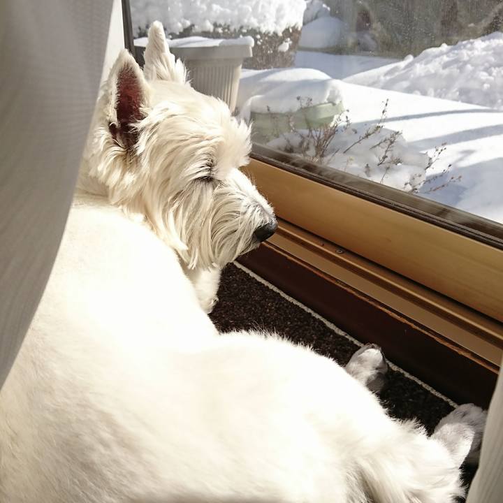 F00a0116 8b0b 4384 9f70 5b00ff8b4e3e 1516870282155