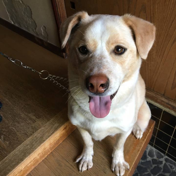 F00a153d f6f8 4725 bd36 aeda7571705f 1524179164653