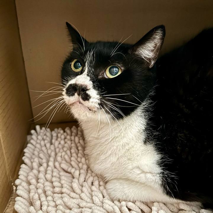 F00a3c89 c222 487b ba17 e0ce00257d58 1731026736072