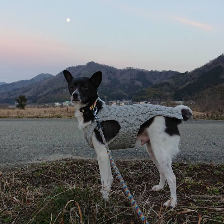 F00a9827 d3fe 437f 826d 3fed46012cc4 1550481997255