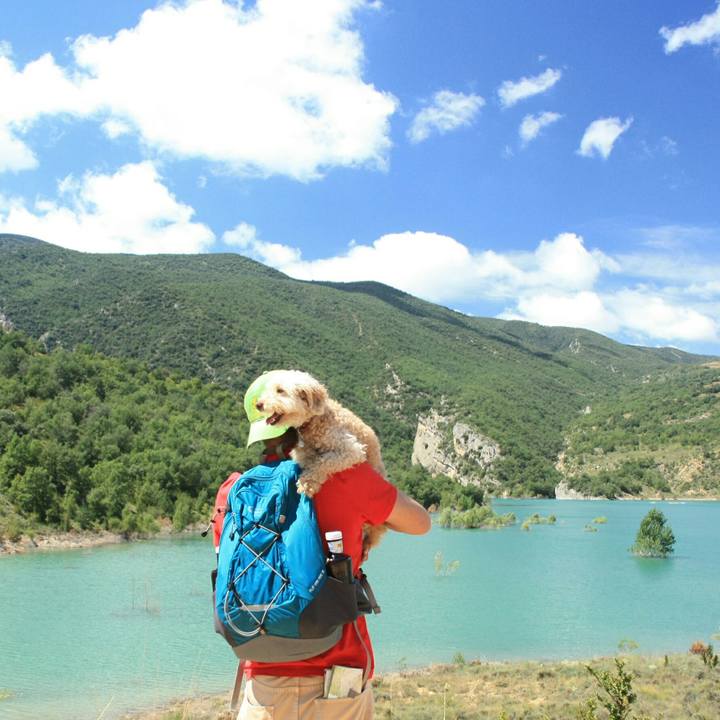 F00a9890 ab76 4483 84b9 2ee1ba77cedd 1535323921168