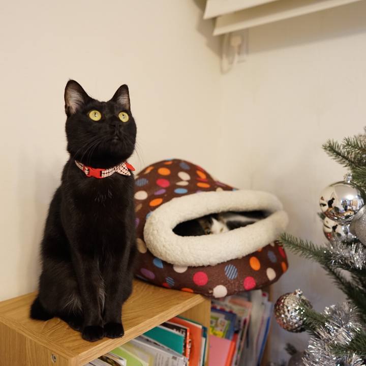 F00aa3e8 cd0e 4239 90c4 c4c9cee32cd9 1545747810357