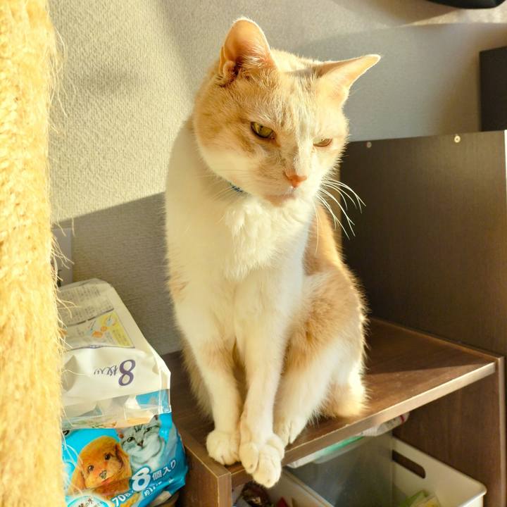 F00b1c2b 2a84 4f48 af57 e560e6c0b9e1 1667341848536