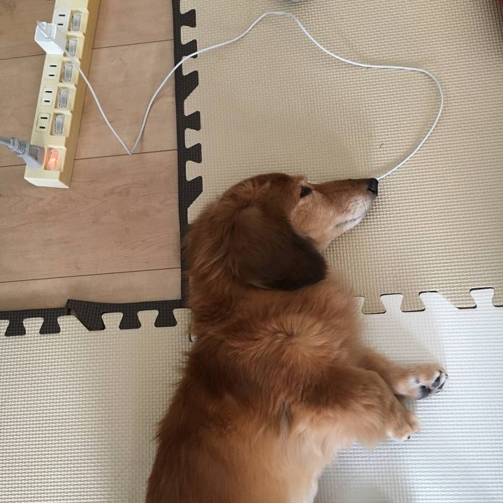 F00b25bc fa3c 40cd 987d 6c2f80d80b52 1632748265814