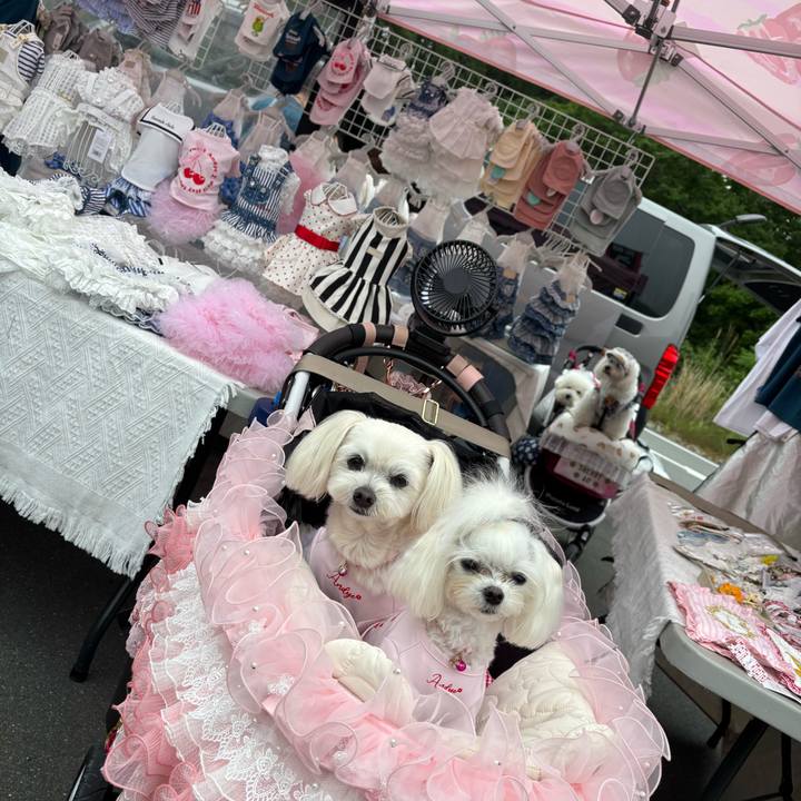 F00b34de 3af4 451f 8d70 81038db9bc68 1746878403431