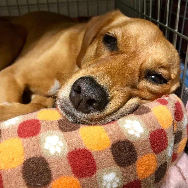 F00b563d 6c57 4703 acc0 5ae03f3d3284 1537618353070