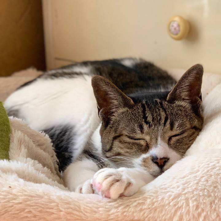 F00babcc 21a3 49f9 9e16 abc332fe3d51 1589504172775