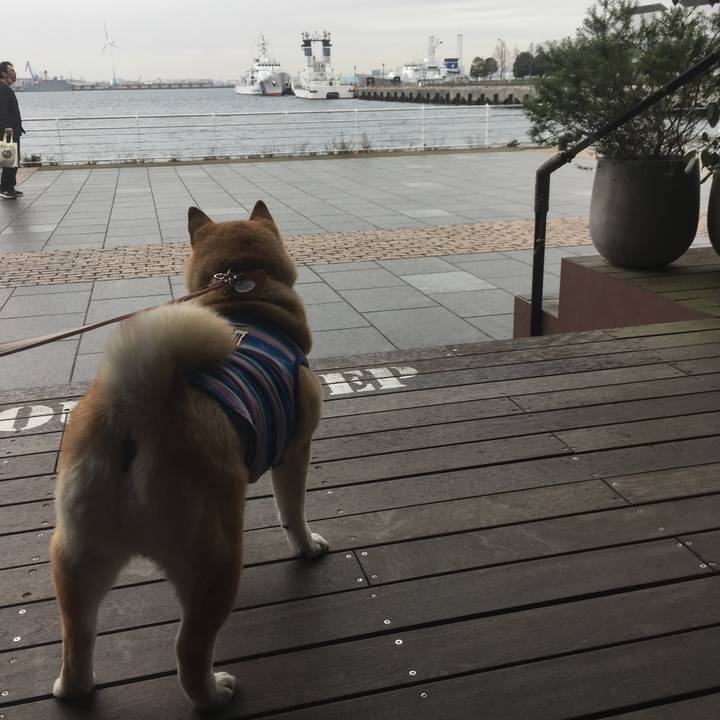 F00bb21f 6da9 40d6 8a5c e16bdc88f0c7 1547265732099