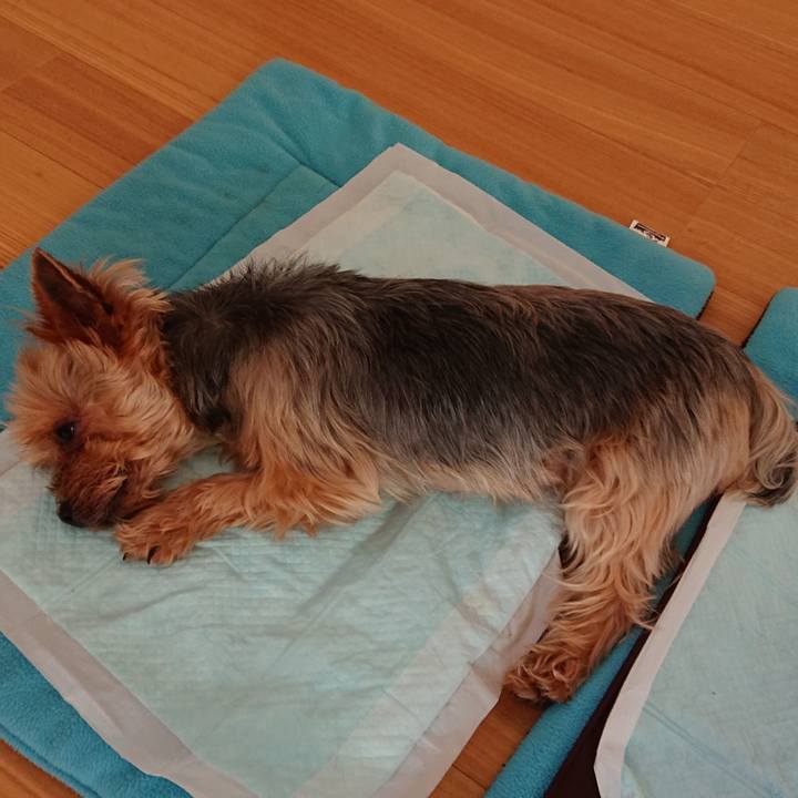 F00be52b 60d6 4e12 80d6 1993e95dd88d 1562116131220