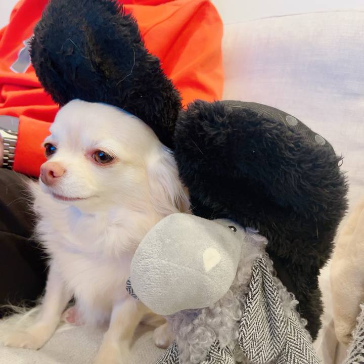 F00bfccb 94a9 426a 9ffc 21f52082470b 1707738421782