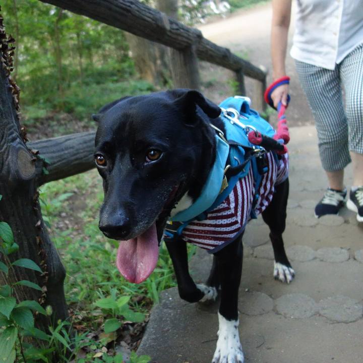 F00c2395 4960 4eb3 85f4 56124689f89d 1630023165328