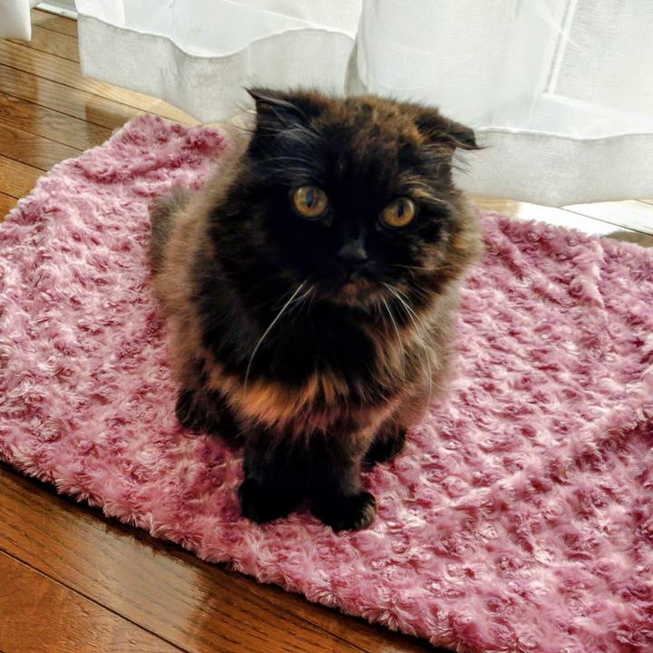 F00c3dbd 2283 4a54 959e 201707b5507d 1762851716696