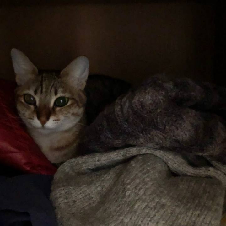 F00c5672 e119 408f b438 840d1ccbfc4b 1640603279315