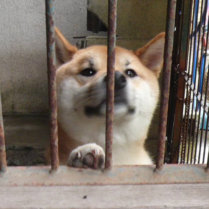 F00c5e57 c6b2 4786 9a36 563bf0f54c90 1620688290733