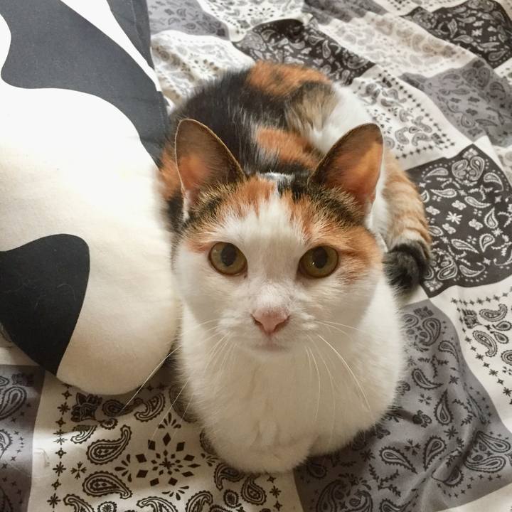 F00cb347 891d 41fe 8407 2b68836fd89a 1563070872193