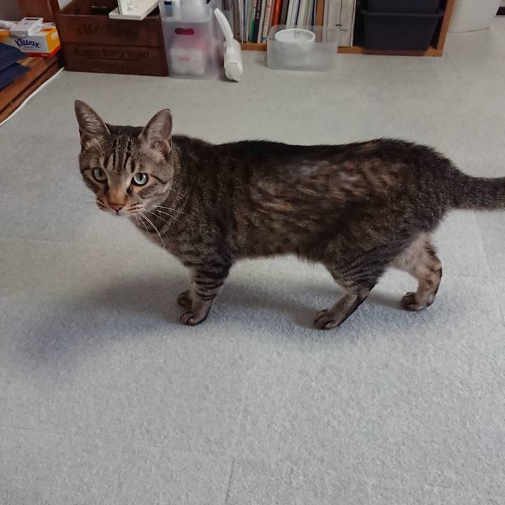 F00cd651 04bd 42e8 8ea6 4dc9453de4e4 1562459647627