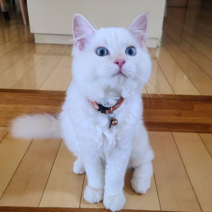 F00cdee4 0933 42a9 9925 c521c00daf58 1658876603839