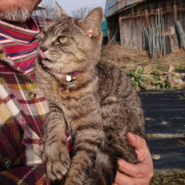 F00cf93b 99ce 416b 9728 3d888ece0914 1581749130546