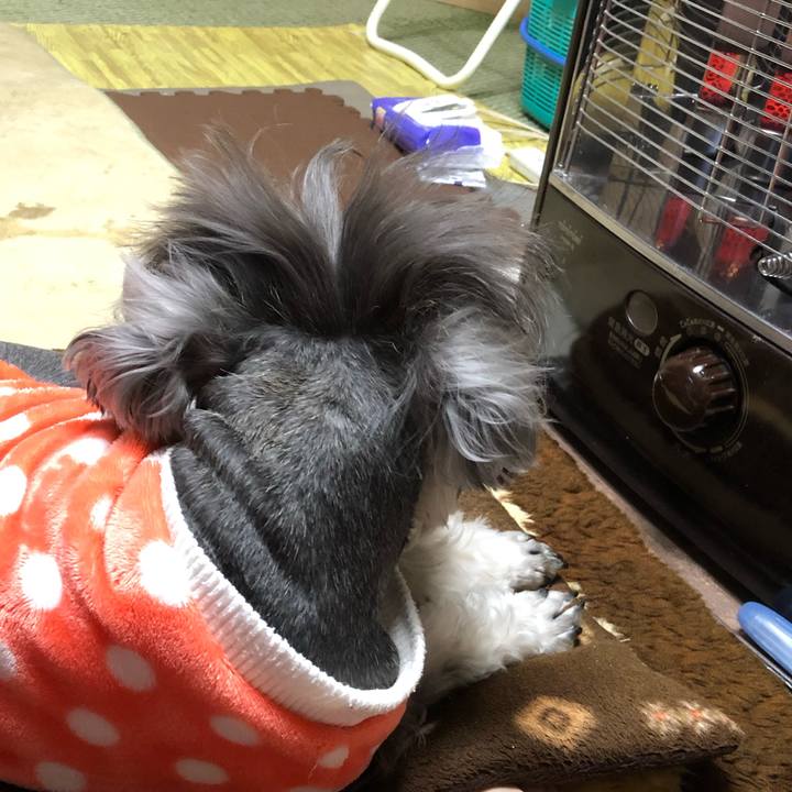 F00d0dc1 1d9d 4904 9a73 dbb1846bc9f7 1551097527026