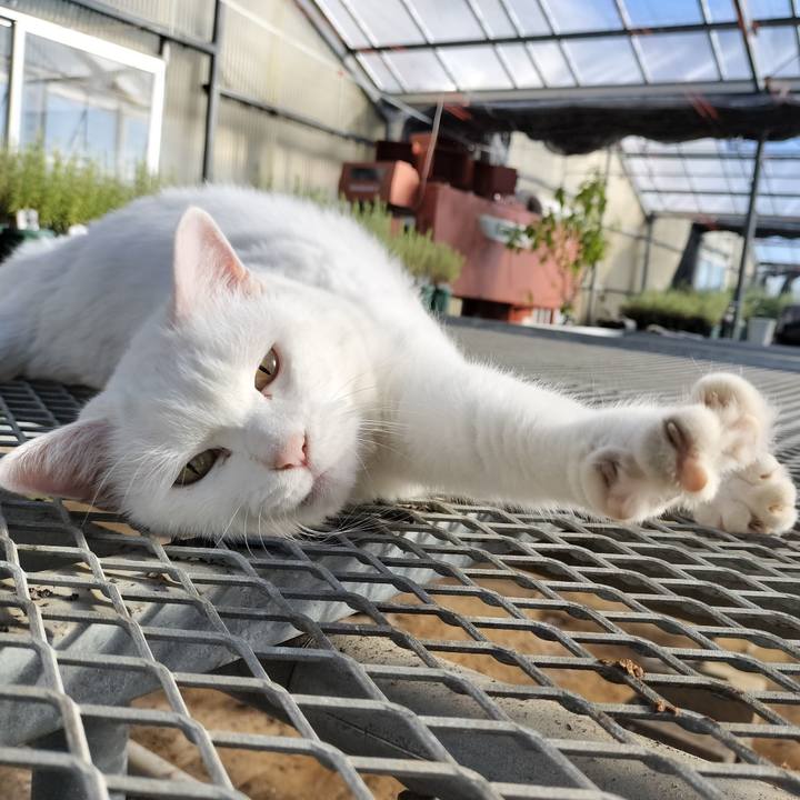 F00d208a d6b3 4efa b76a 06f8ca100973 1763185311224