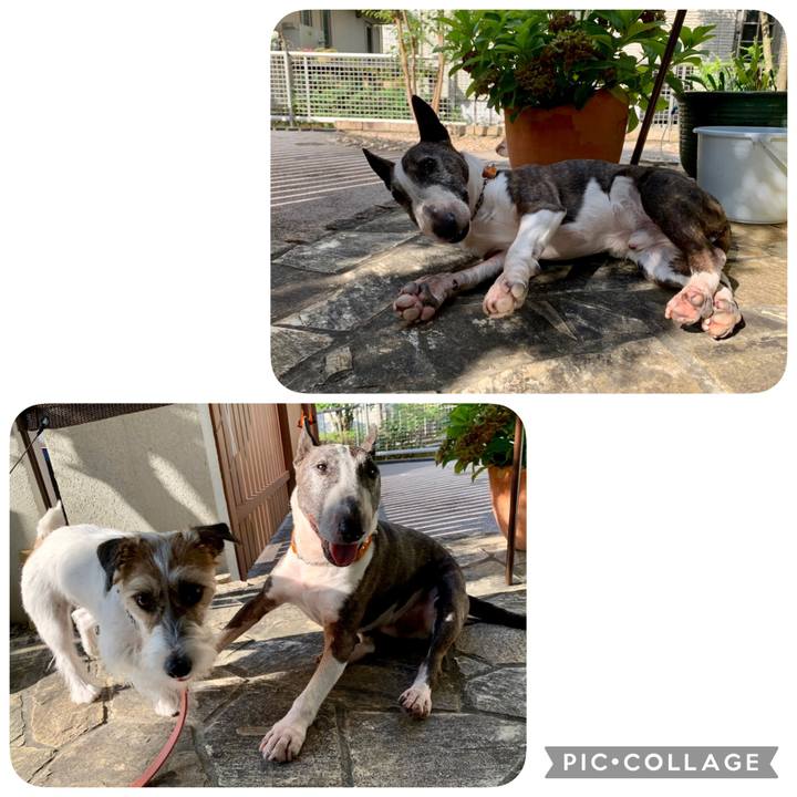 F00d6a93 c025 411d a9d6 c377f32e0ea2 1627261815583