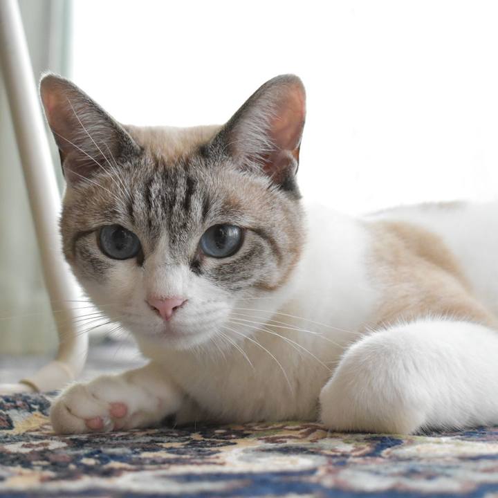 F00d6e40 5795 4b80 bc4f f14f363e7acd 1564534642337