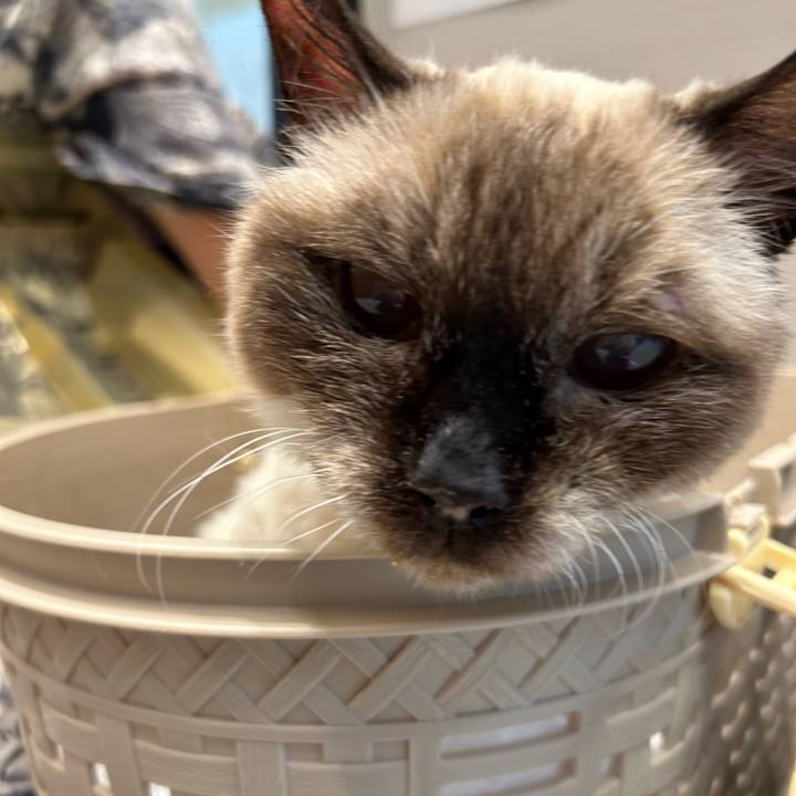 F00d7bd8 c06e 46bc 8bba f9f3a6a9f8a6 1715049870995