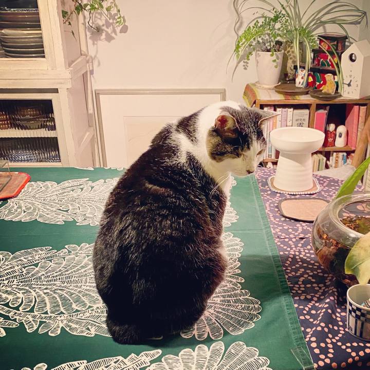 F00d8e11 409e 498e 9f71 619f8da0f93f 1578930820783