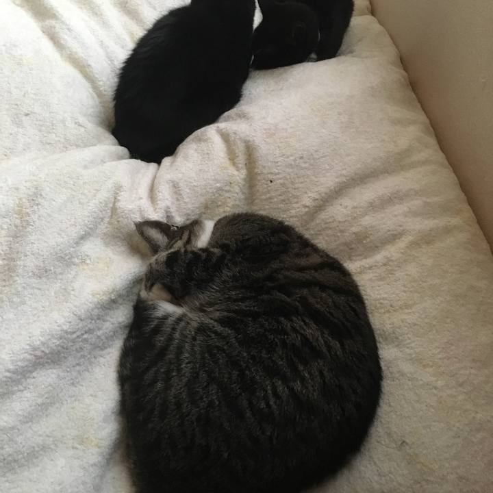 F00d91d8 da16 41cf 9a8f 7a14ccab536c 1516249572543